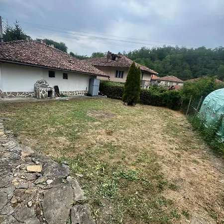 Elenite